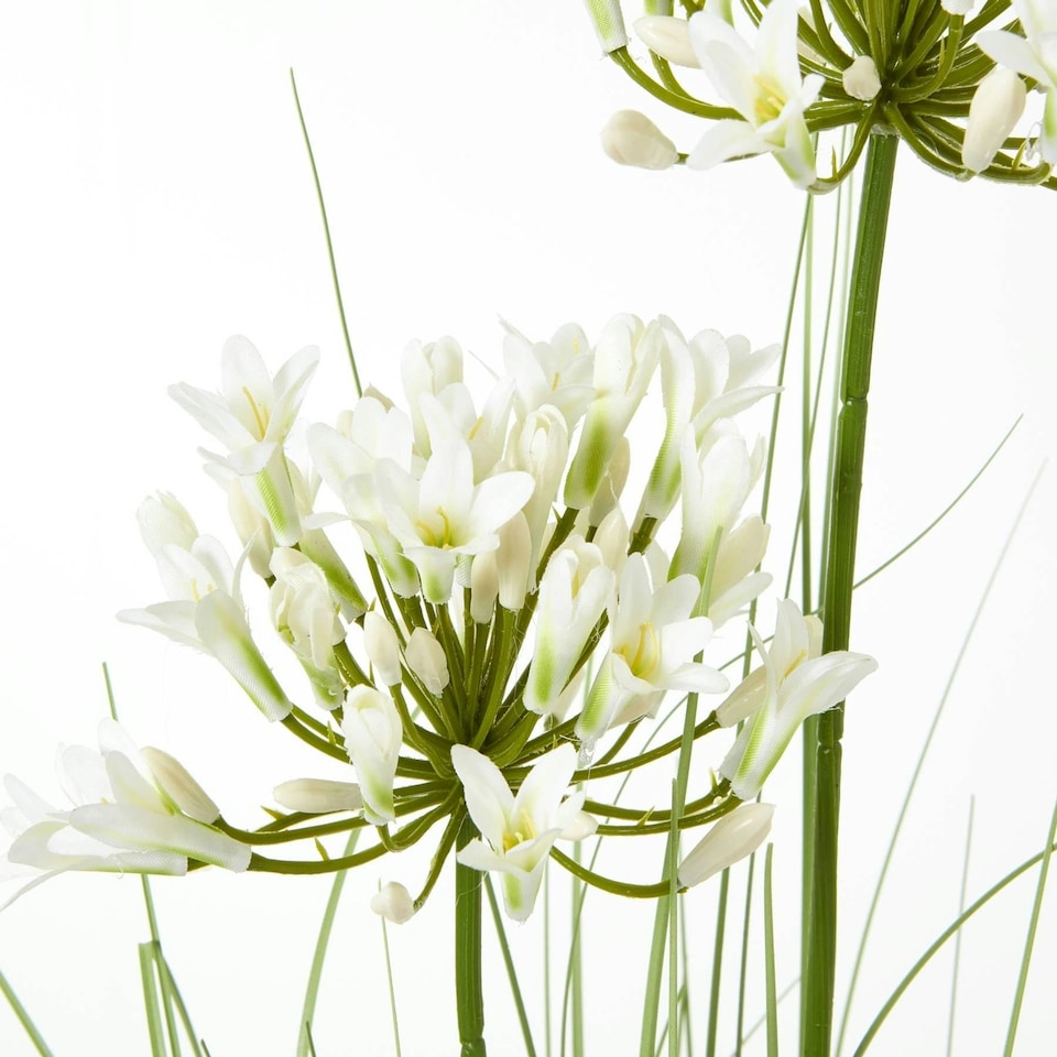 image 1 of Hill Interiors Agapanthus Plant Pot - White/Green - One Size