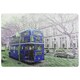image 1 of London bus Behind blue (Rug) Blue | XL: 160x230cm