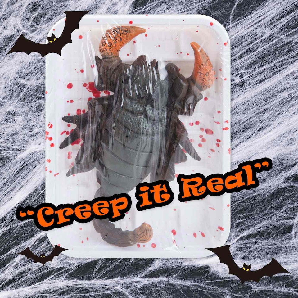 image 1 of PMS Halloween Scorpion Insect Decoration - 18.5 x 13.5 cm