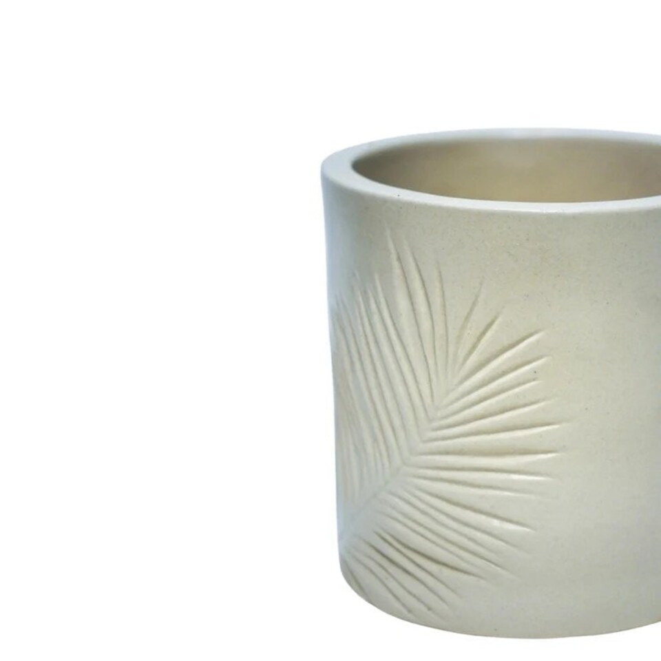 image 1 of Kew Sago Palm Planter - Stoneware - L16.5 x W15.5 x H18 cm - Ivory White