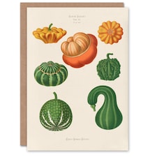Ernst Benary Art Card Ornamental Gourds Vintage Botanical