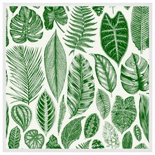 Leaves mixed (Picture Frame) White | L