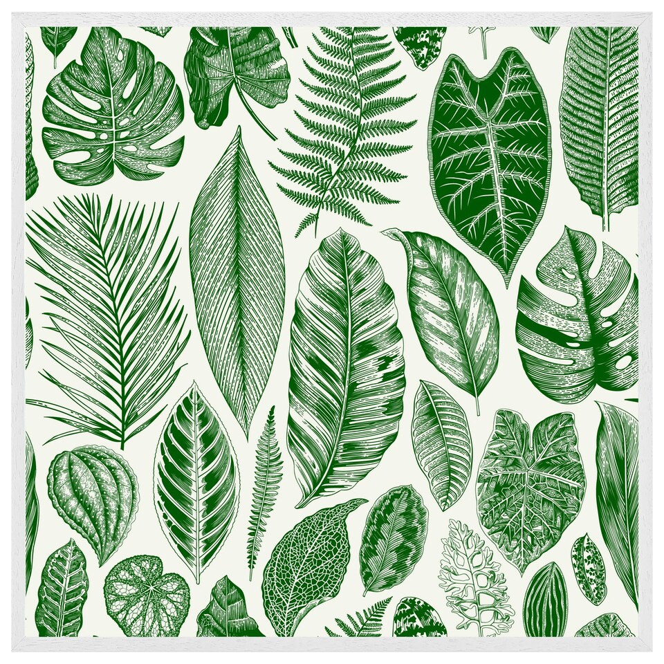 image 1 of Leaves mixed (Picture Frame) White | L