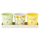 image 1 of English Tableware Company Bee Beautiful Set of 3 Pots