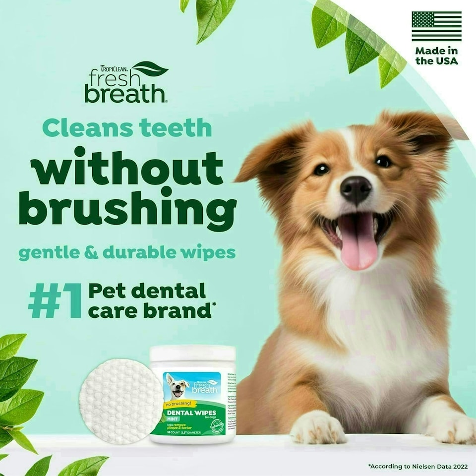 image 1 of TropiClean Fresh Breath Dog Teeth Cleaning Wipes 50pk