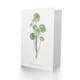 image 2 of Pierre-Joseph Redouté Art Card Tree Houseleek Succulent