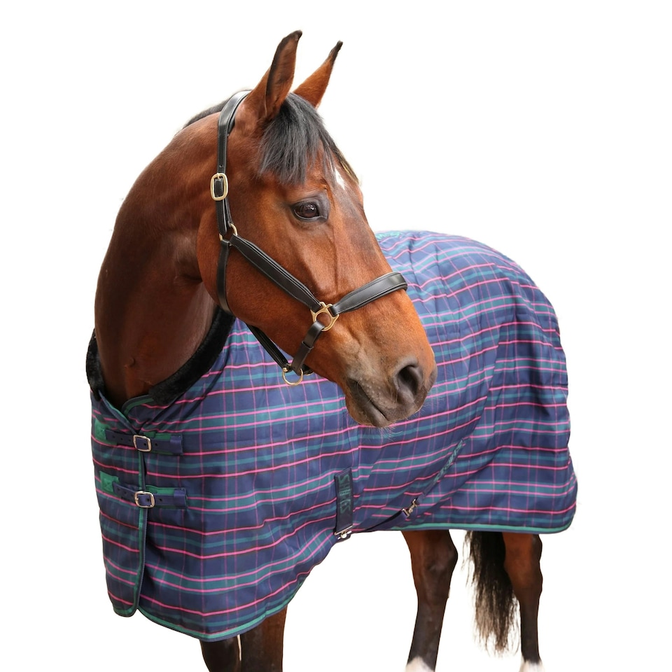image 1 of Tempest Plus Standard-Neck Checked 100g Horse Stable Rug - Navy/Tartan - 6´ 3"