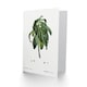 image 2 of Pierre-Joseph Redouté Art Card Spurge Laurel Vintage Botanical