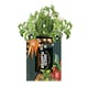 image 8 of Westland Peat Free Multi-Planter Medium 40 Litre