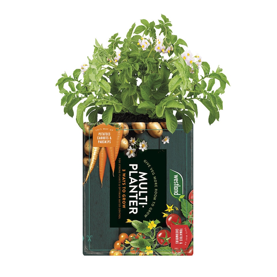 image 1 of Westland Peat Free Multi-Planter Medium 40 Litre