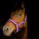 image 3 of Gallop Equestrian Premium Padded Headcollar With Matching Leadrope Purple | Size: Shetland
Colour: Purple