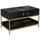 image 5 of Kensington Townhouse Hair On Hide Black And Gold Coffee Table Black