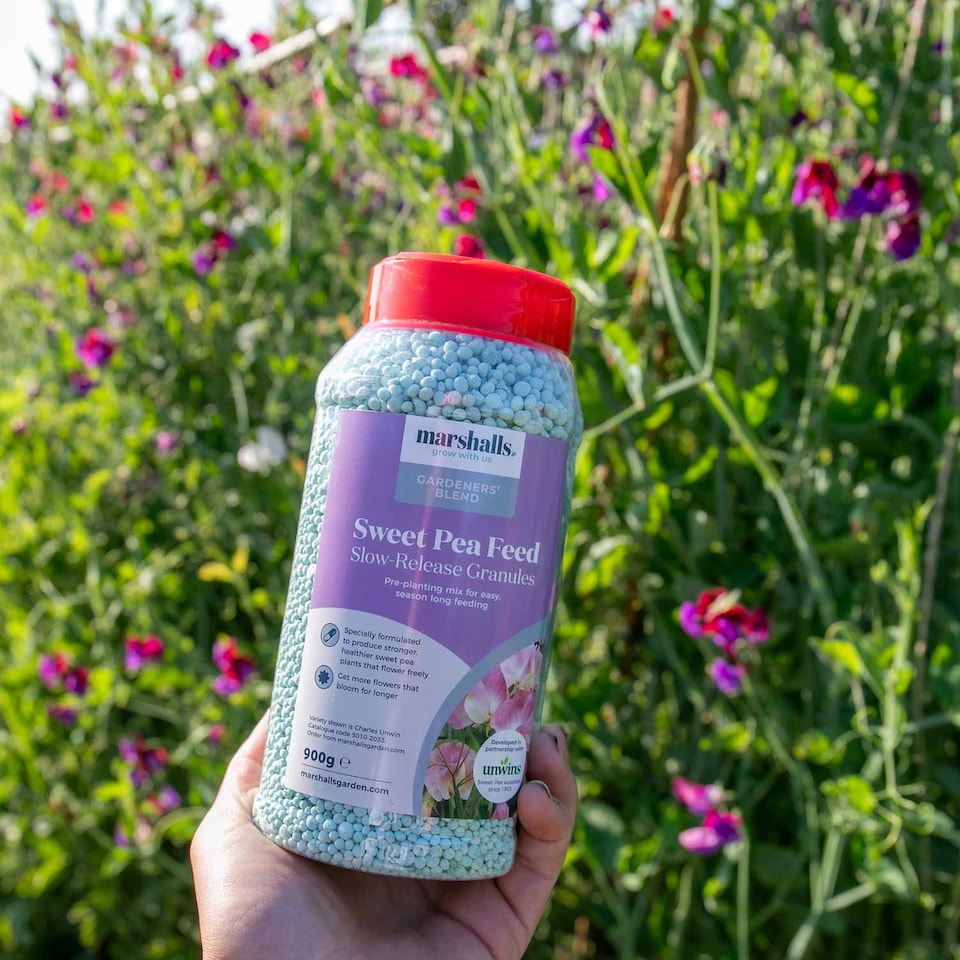 image 1 of Marshalls Garden Concentrated Slow-Release Sweet Pea Feed Granules 900g | Cream | Tub