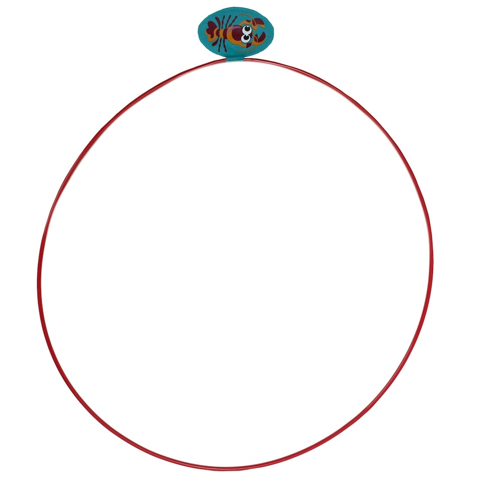 image 1 of Water Sports Swim Thru Rings