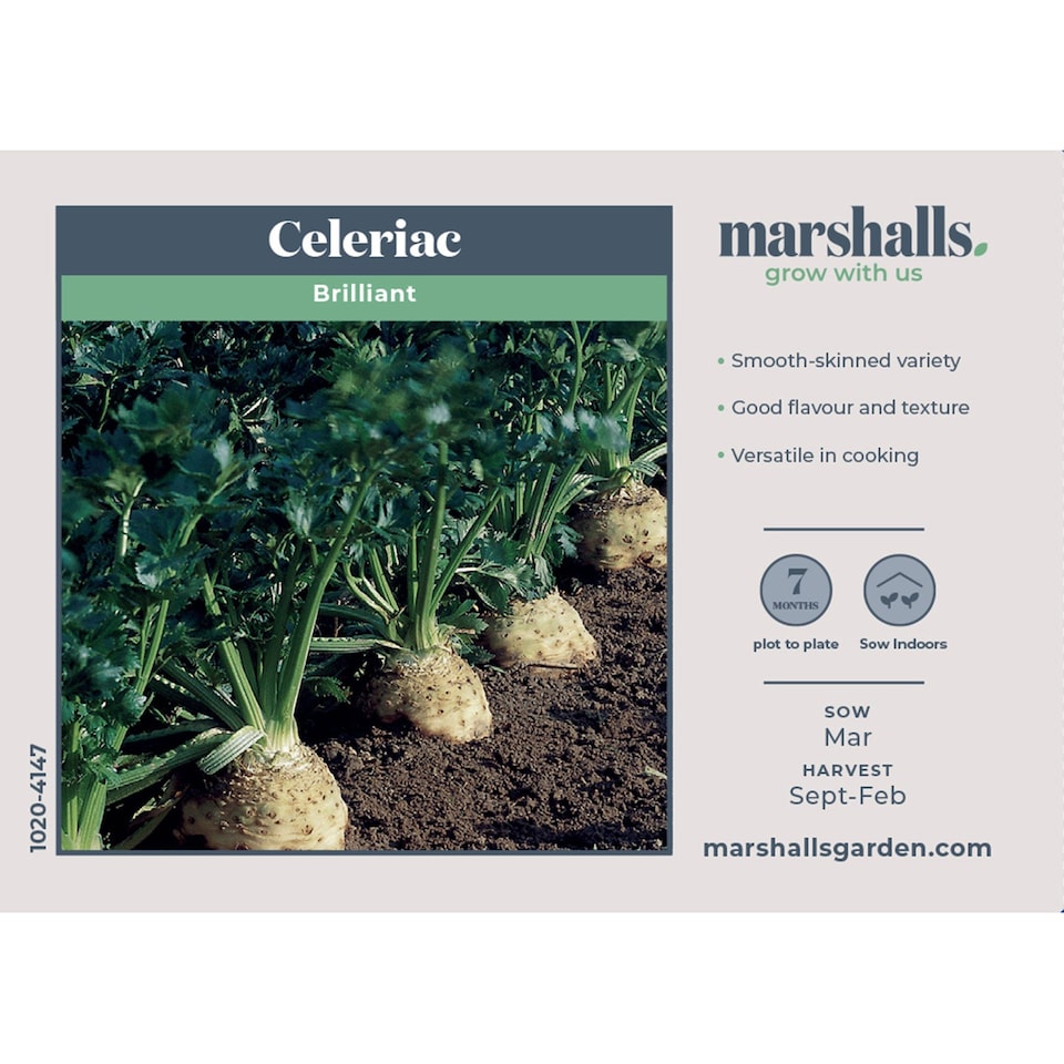 image 1 of Marshalls Garden Celeriac Seeds 'Brilliant' - 50 Seeds