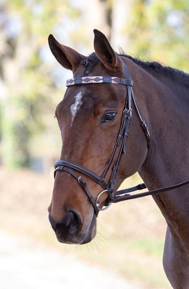 image 1 of Shires Blenheim Leather Polo Browband | Blue | Colour: Pink/Natural/Navy
Size: Pony