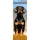 image 1 of Dachshund Slim 2026 Calendar | Slimline Wall Calendar | Dog Breed Gift | Plastic Free Packaging | by Avonside Publishing [Calendar] Avonside Publishing Ltd