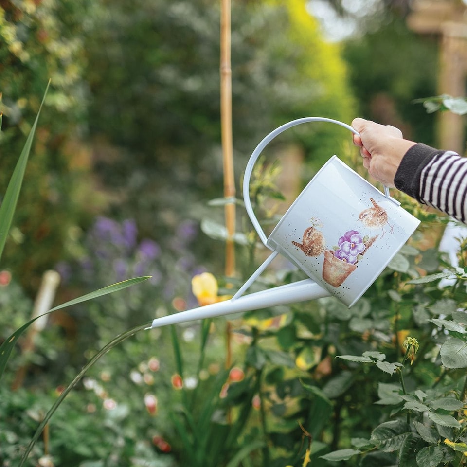 image 1 of Wrendale Designs Pottering About Wren Design Watering Can