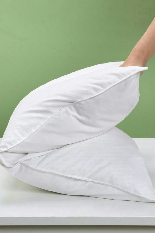 image 1 of Duck Feather & Down Pillow PAIR with Cotton Cover