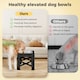 image 4 of Skylos Dog Raised Elevated Pet Feeding Bowls Stainless Steel Adjustable Stand