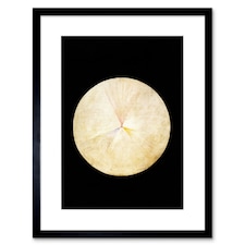 Abstract Circle Hilma Af Klint No 14 Swan 9x7" Black Framed Wall Art Print