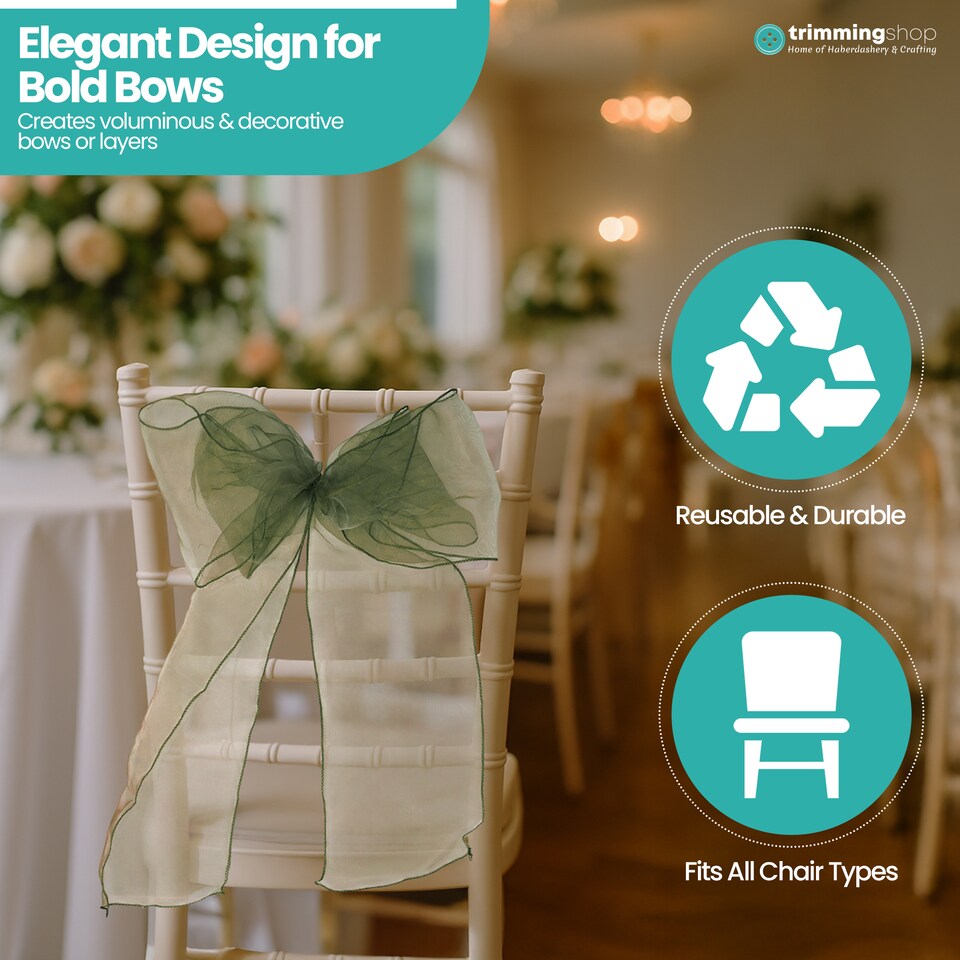 image 1 of 17 x 280cm Organza Chair Sashes, Sheer Sash Ties - 1pc