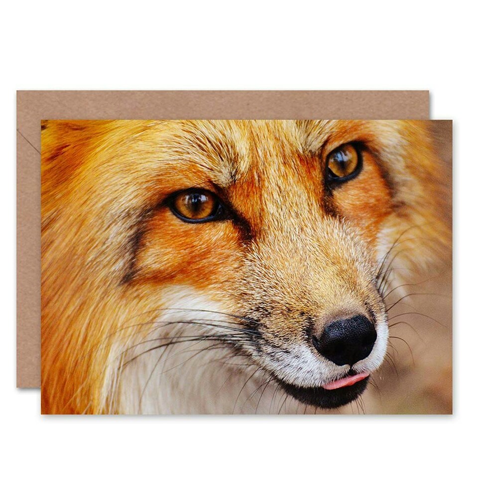 image 1 of Animal Lover Fox Face Close Up Photograph Birthday Card