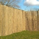 image 4 of Bamboo Cane Screening Roll Natural Fencing 3m x 1.5m