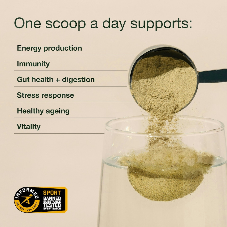 image 1 of Good Green Vitality – Vitamins, Minerals & Superfoods – Vegan Multivitamin Greens Powder - Gluten Free - Dairy Free - 750g - 75 Servings