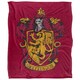 image 1 of Harry Potter Gryffindor Painted Blanket - Multicoloured - One Size