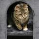 image 9 of PawHut 2-Tier Cat House with Scratching Pad Plush, 81cmH, Grey