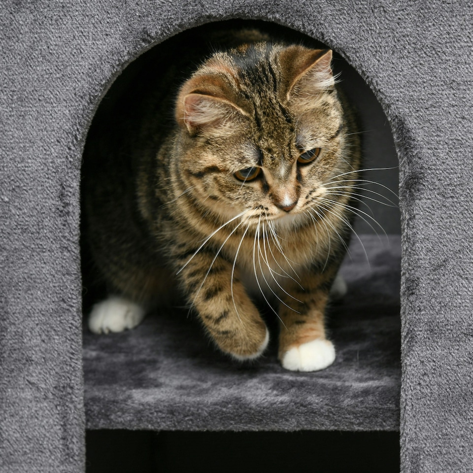 image 1 of PawHut 2-Tier Cat House with Scratching Pad Plush, 81cmH, Grey