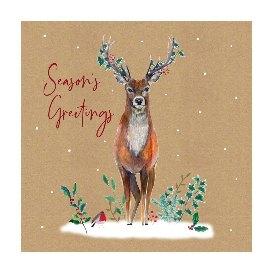 image 1 of Pack of 12 Stag Brown Kraft Christmas Box Cards