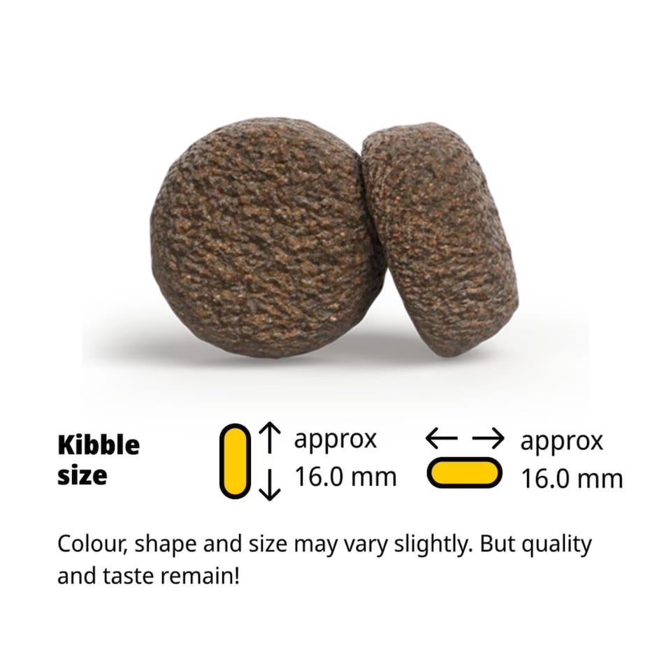 image 1 of Josera Adult Hypoallergenic complete dog food | Allergy relief | Sensitive digestion | Novel single animal protein | Grain-free | All breed sizes | 5x0.9kg
