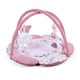 image 1 of Red Kite Padded Play Gym - Rose & Ivy | Pink | Rose & Ivy | One Size | 1