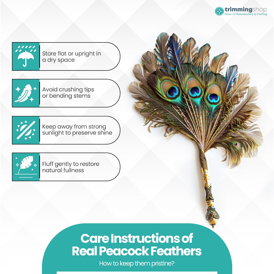 image 1 of Trimming Shop Real Peacock Feather, 15" - 18" Inch - 25pcs