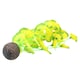 image 3 of Aquatic Aquarium Fish Tank Self Sinking Middle Silk Plant H-20cm (No10) 2PK