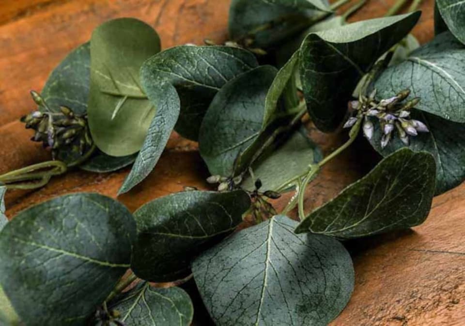 image 1 of Eucalyptus Stem Spray Artificial Plant - Plastic - L22 x W22 x H66 cm - Green