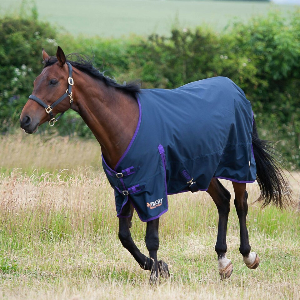 image 1 of Gallop Equestrian Trojan Light Weight Turnout Rug Blue | Size: 6ft 3
Colour: Navy Blue