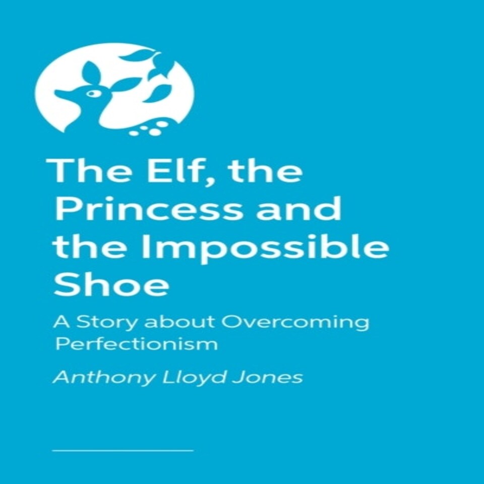 The Elf The Princess And The Impossible Shoe