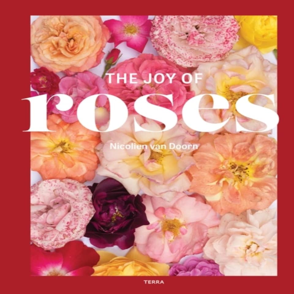 Joy Of Roses
