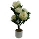 image 1 of 55cm Artificial White Peony Plant
