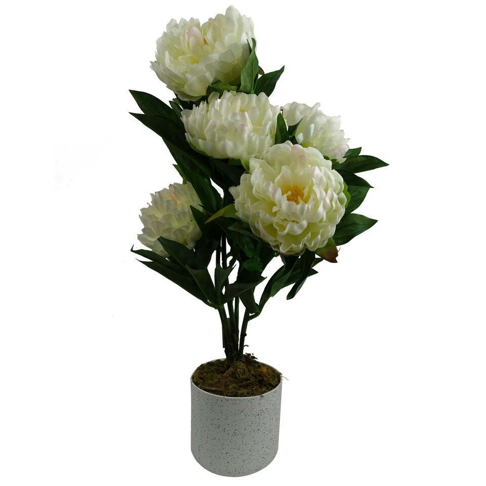 image 1 of 55cm Artificial White Peony Plant