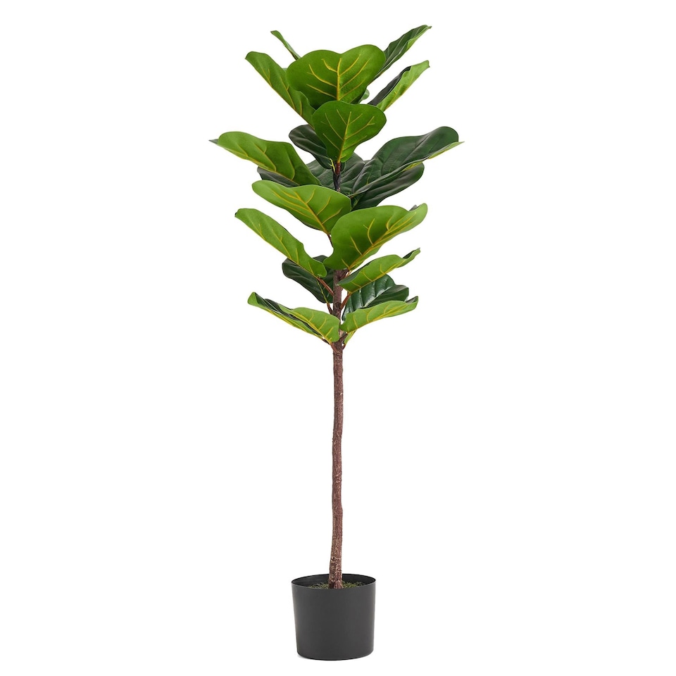 image 1 of Large Fiddle Fig Tree Artificial 120cm Premium Plant | Green | 4ft