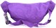 image 3 of Lorenz Womens Crinkled Nylon Bum Bag / Waist Bag / Money Holder (Taupe) | Purple | Purple