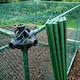 image 4 of GardenSkill Essentials Fruit & Vegetable Cage with Insect Mesh 1.5x0.75x0.65m High - Quick Build Plant Protection Frame for Garden, Raised Bed