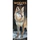 image 1 of Wolves Slim 2026 Calendar | Slimline Wall Calendar | Animal Gift | Plastic Free Packaging | by Avonside Publishing [Calendar] Avonside Publishing Ltd