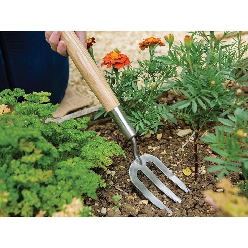 image 1 of Kent & Stowe Hand Border Fork, Fsc - Multi Colour - Stainless Steel