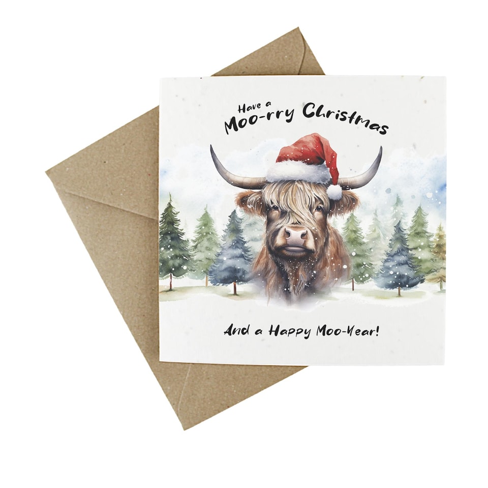 image 1 of Festive Highland Cow - Plantable Wildflower Seed Christmas Card