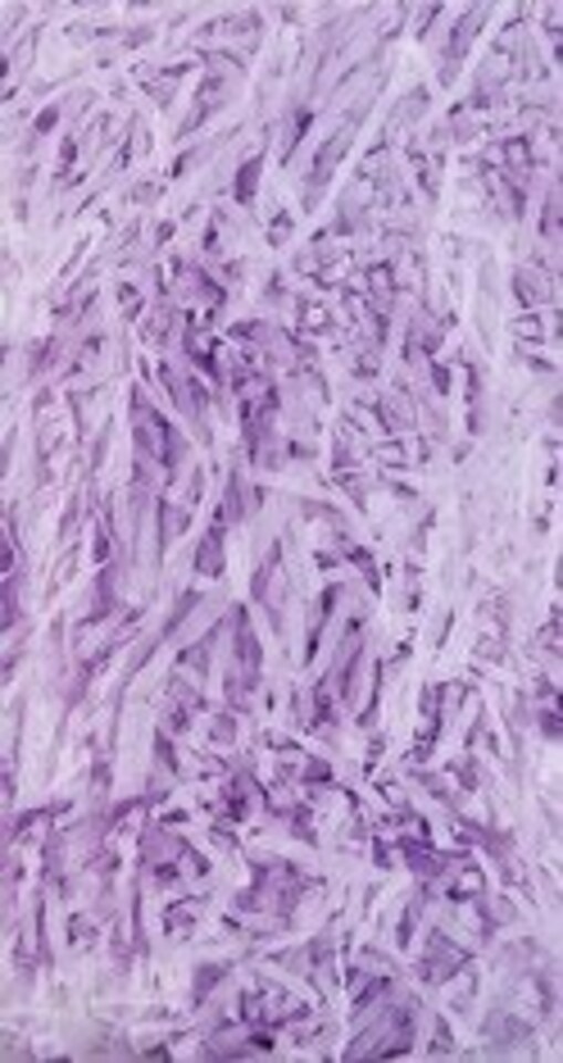 image 1 of County Lilac Shredded Tissue (20g)